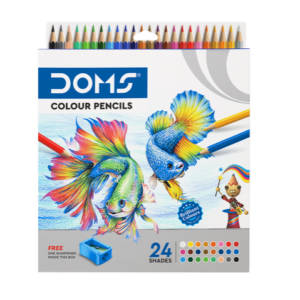 DOMS Premium Color Pencils 24 Shades - Full Size with Free Sharpener | By Stationery BD