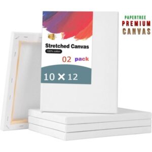 White Premium Painting Canvas 10×12 Inch combo of 2 pcs