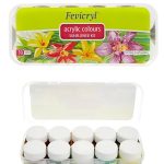 Fevicryl Acrylic Sunflower Kit 10 Shades for clothes & canvas