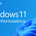 Windows 11 Pro for Workstations bd - E BD Solution