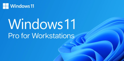Windows 11 Pro for Workstations bd - E BD Solution